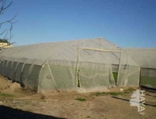 Terreno en venta en calle de L'Esglèsia photo 1