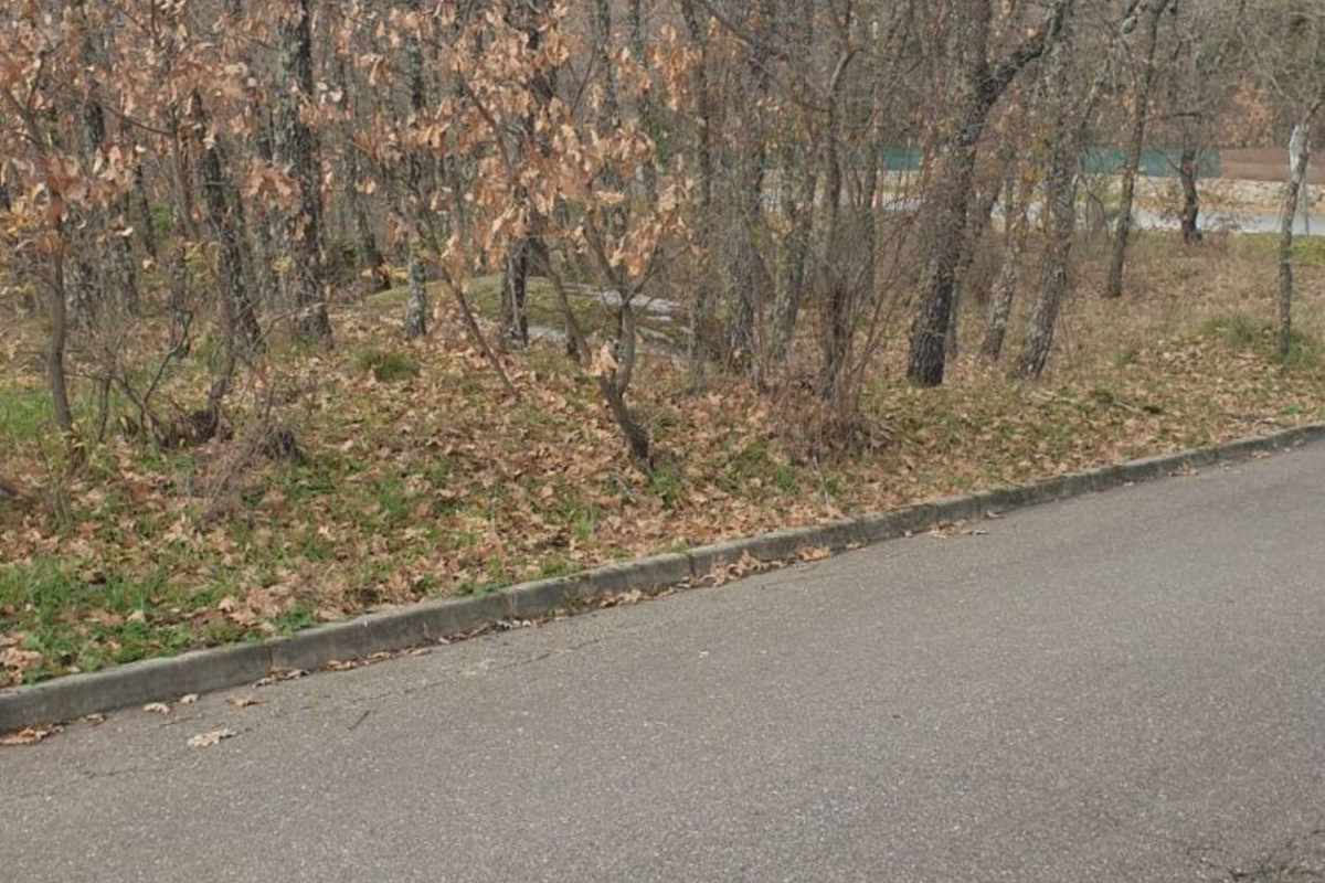 Terreno en venta en Navahondilla, Ávila photo 5
