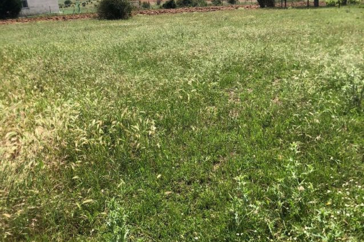Terreno en venta en Riaza, Segovia photo 2