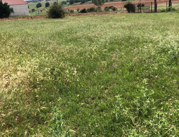 Terreno en venta en camino de Turrubuelo, 2 thumbnail 2