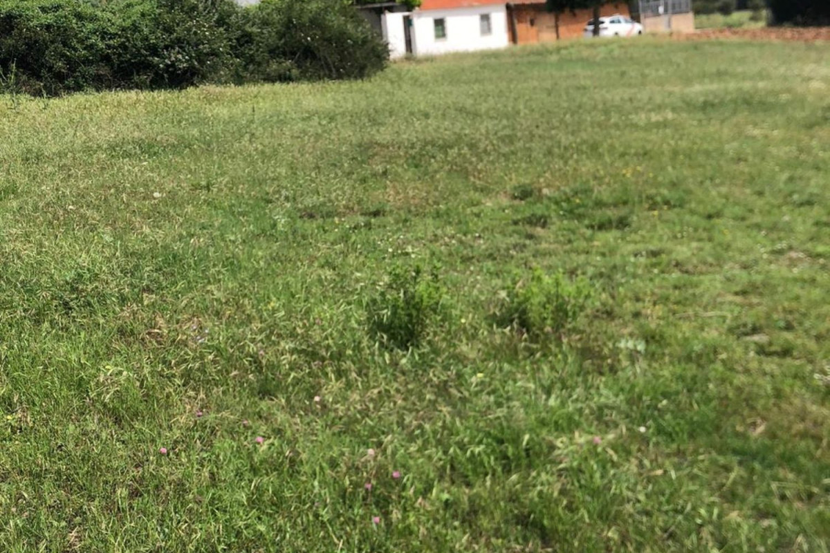 Terreno en venta en Riaza, Segovia photo 4