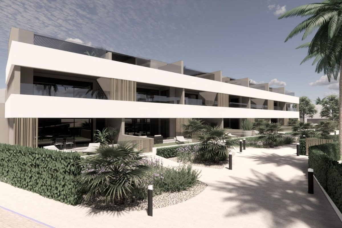 Venta de bajo en Dolores de Pacheco-Santa Rosalía, Torre-Pacheco
photo 4