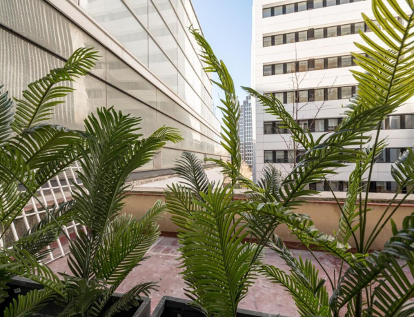 Apartment for sale in  Calle de Serrano, Madrid photo 4