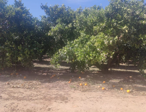 Terreno en venta en Urb. Naquera San Miguel El Paraiso, Casco Urbano photo 2