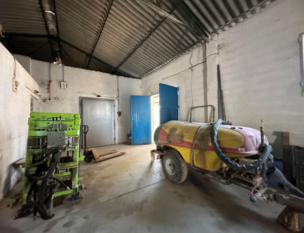 Rustic farm for sale in , Cieza photo 3