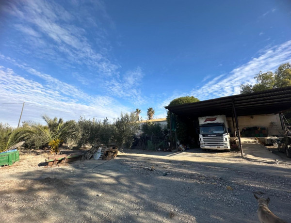 Rustic farm for sale in , Cieza photo 4
