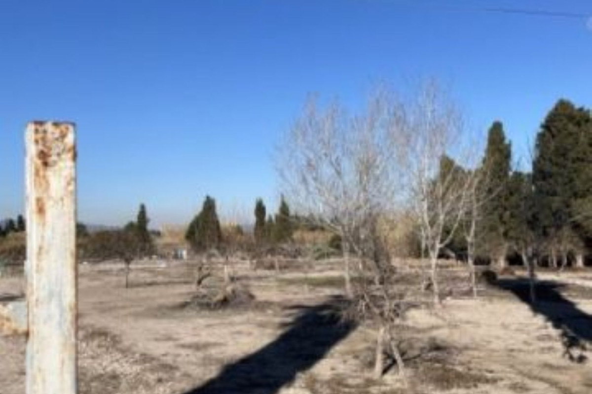 Land for sale in Montserrat, Valencia photo 3