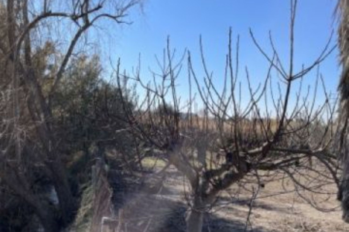 Land for sale in Montserrat, Valencia photo 4