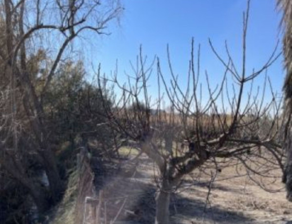 Terreno en venta en Monserrat photo 4