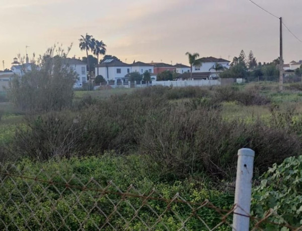 Terreno en venta en camino de la Jara thumbnail 2