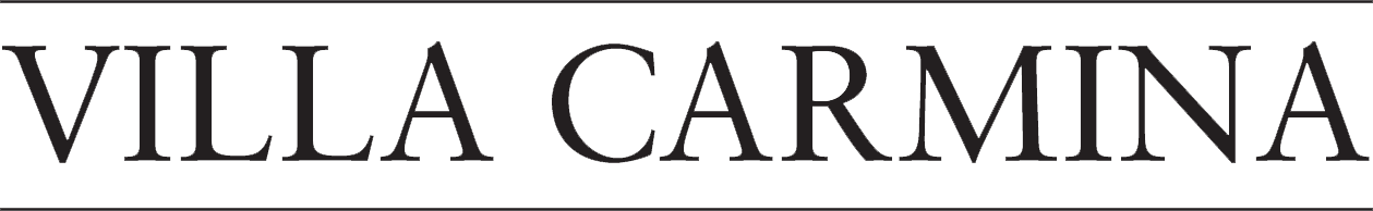 logo firmy