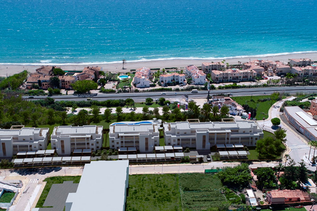 Solemar Casares