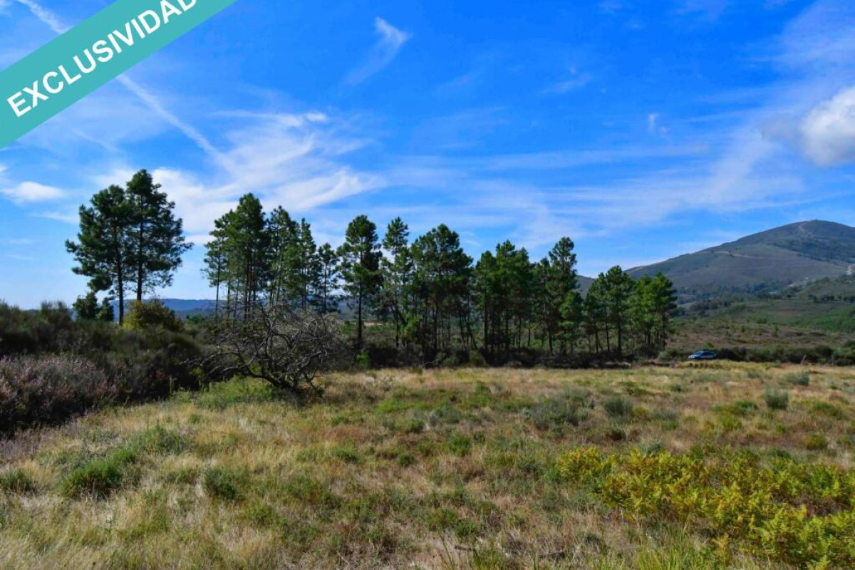 Land for sale in Holly, Cáceres photo 3