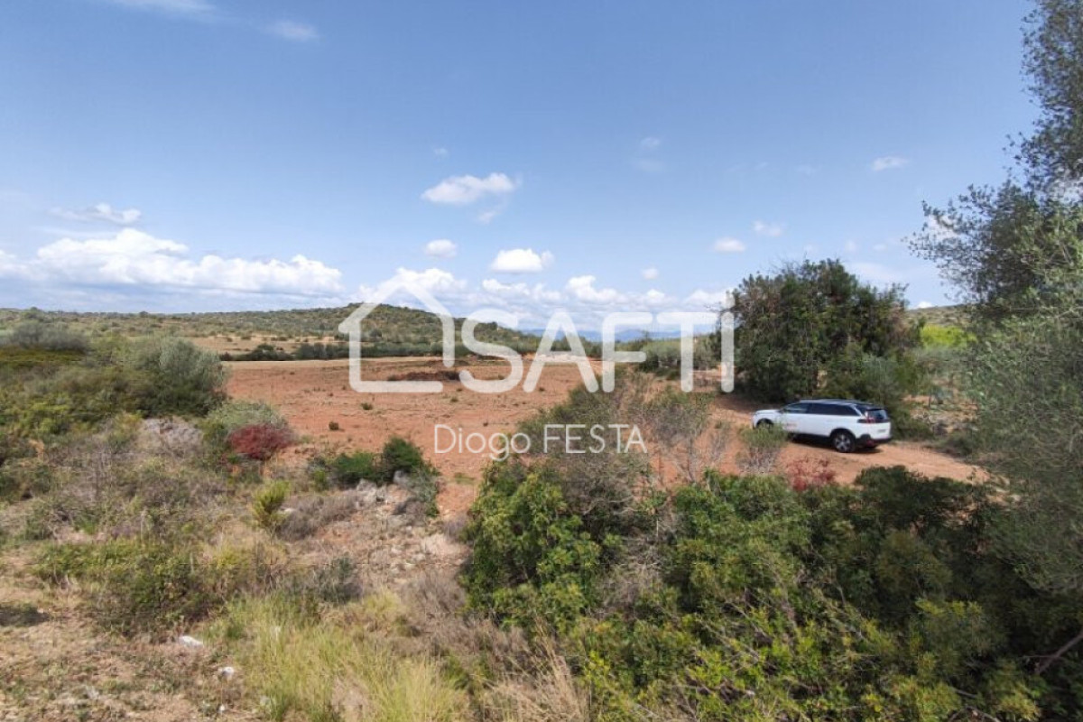 Land for sale in Ulldecona, Tarragona photo 4