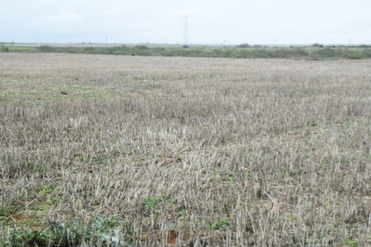 Land for sale in Villamiel de Toledo, Toledo photo 5