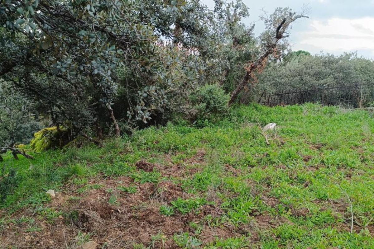 Land for sale in Villa del Prado, Madrid photo 5