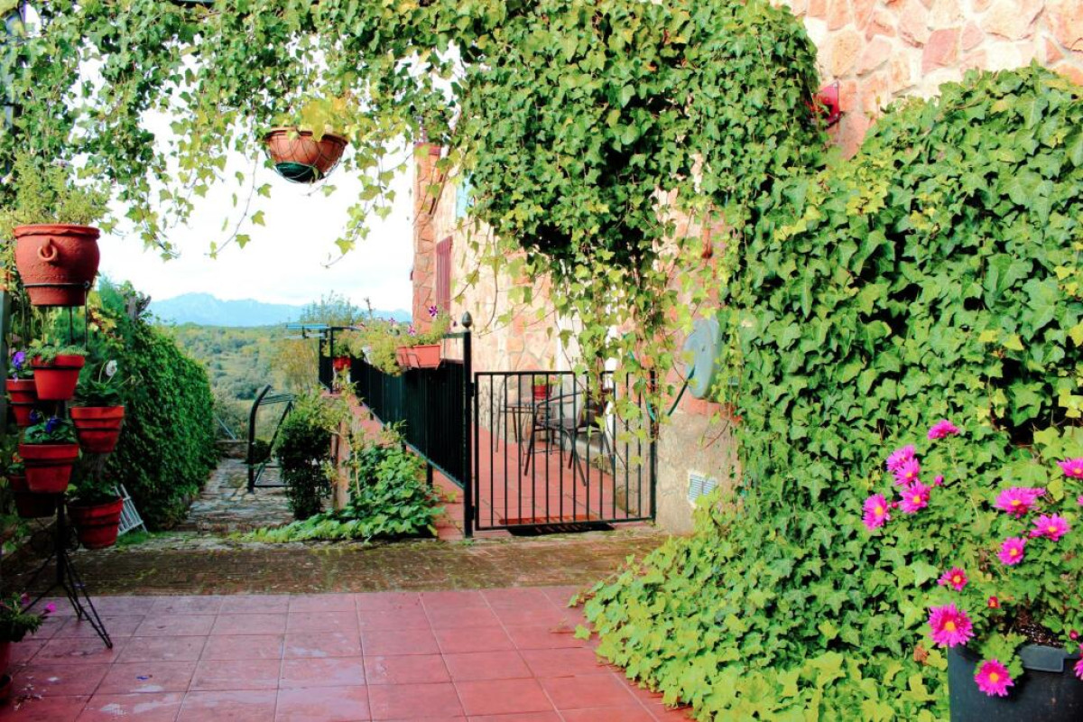 Casa o Chalet independiente en venta en Pedrezuela, Pedrezuela
photo 4