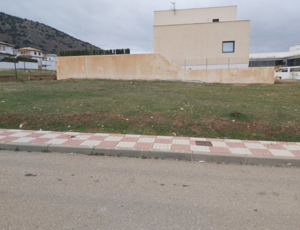 SE VENDE SOLAR URBANO EN MANCHA REAL. photo 3