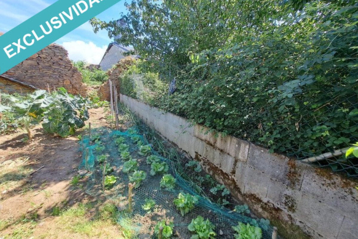 Terreno en venta en San Andres De Montejos, León photo 3