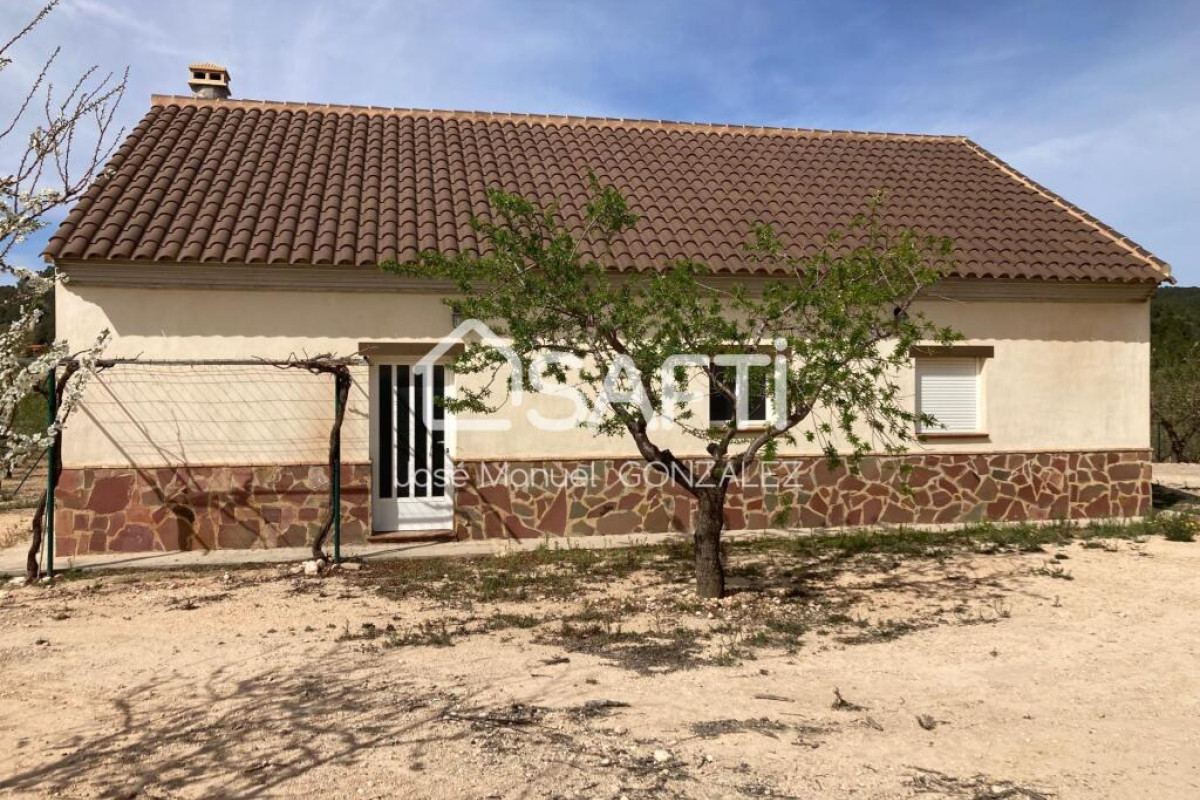 Land for sale in Bullas, Murcia photo 2