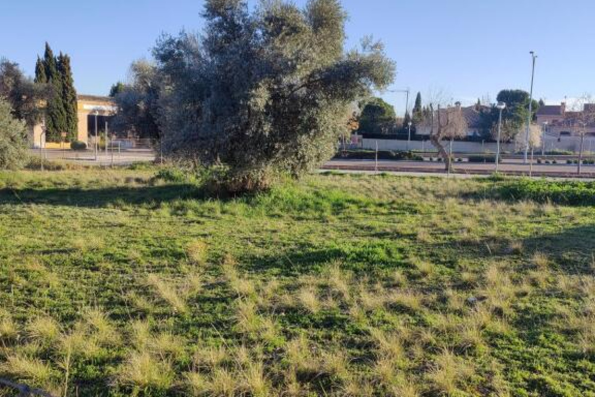 Land for sale in Cobisa, Toledo photo 5