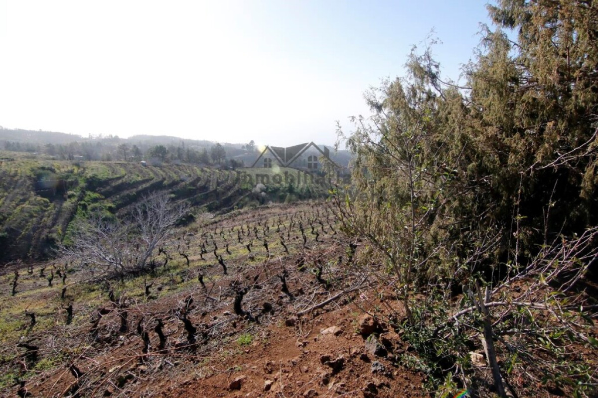 Land for sale in Puntagorda, Santa Cruz de Tenerife photo 5