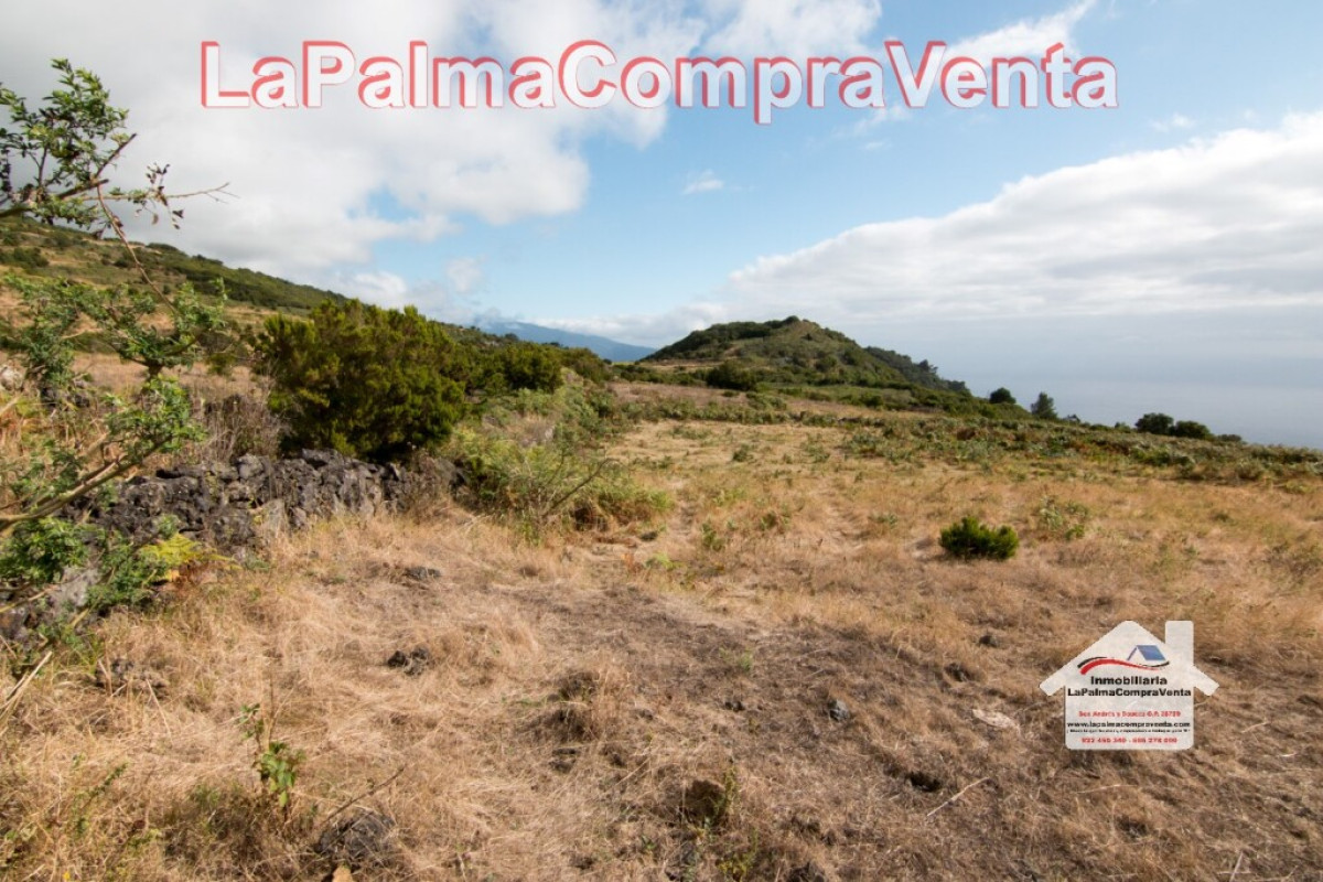 Land for sale in Villa de Mazo, Santa Cruz de Tenerife photo 1