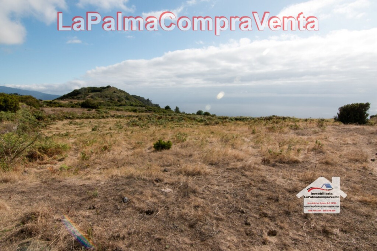Land for sale in Villa de Mazo, Santa Cruz de Tenerife photo 2