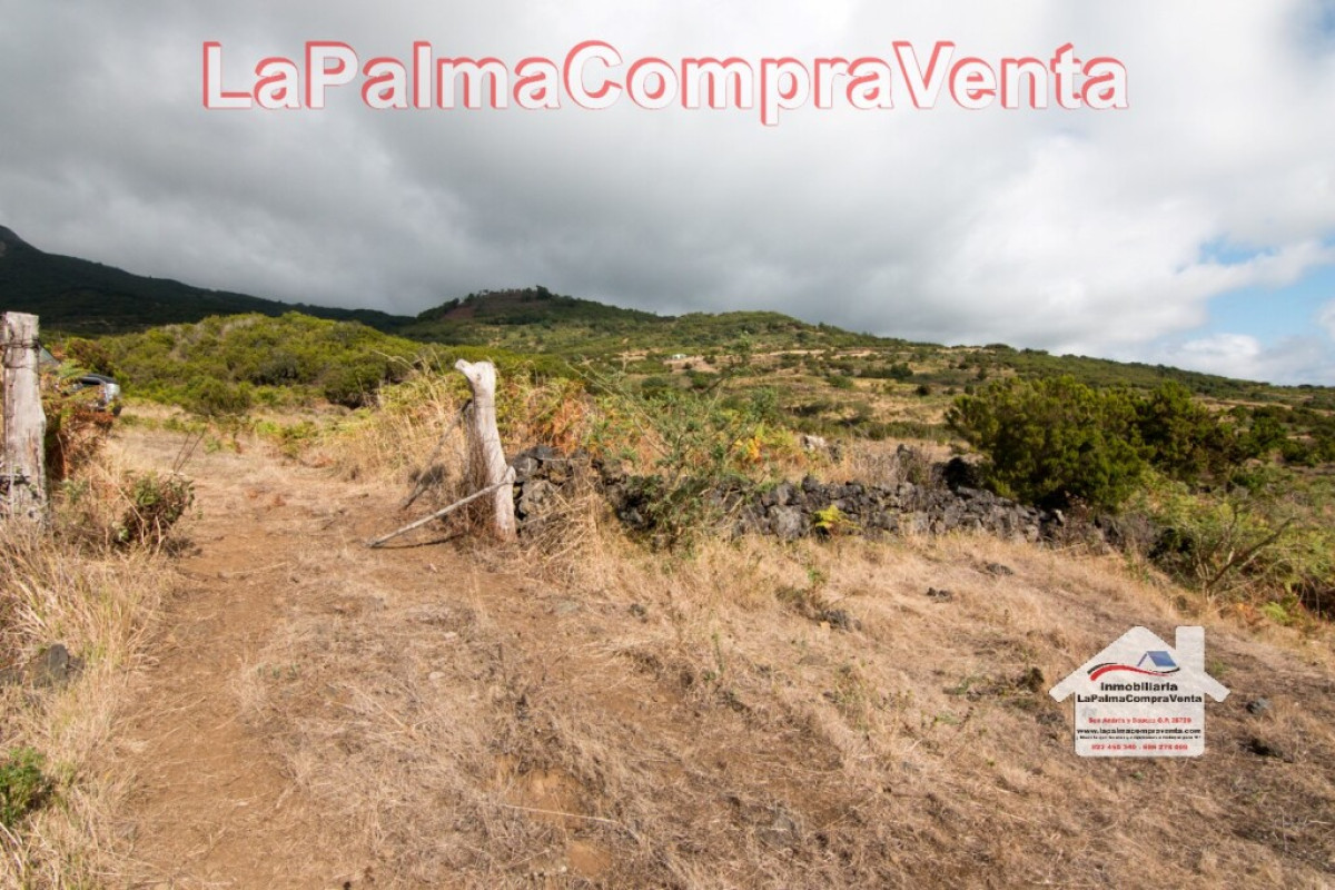 Land for sale in Villa de Mazo, Santa Cruz de Tenerife photo 3