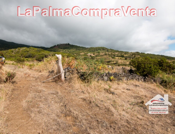 Suelo urbanizable en Venta en Villa De Mazo Santa Cruz de Tenerife thumbnail 2