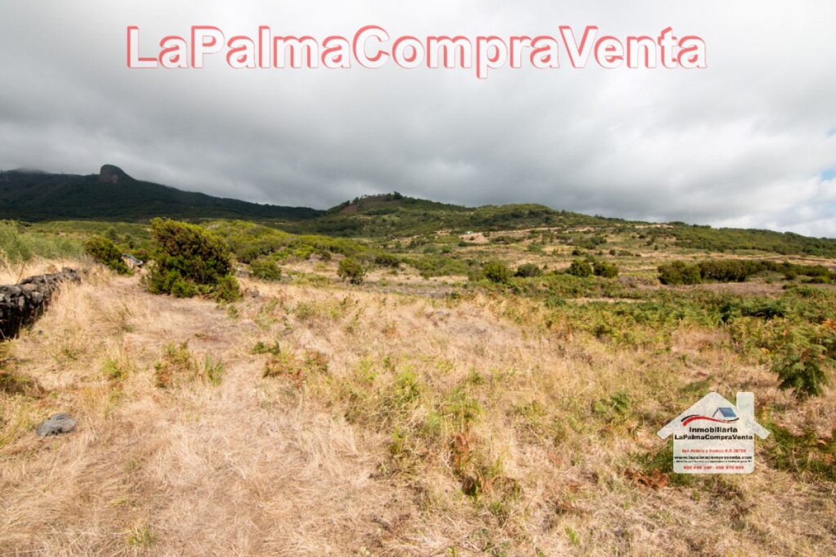 Land for sale in Villa de Mazo, Santa Cruz de Tenerife photo 4
