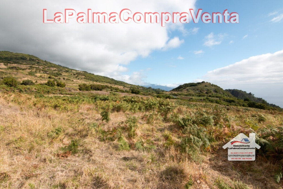 Land for sale in Villa de Mazo, Santa Cruz de Tenerife photo 5