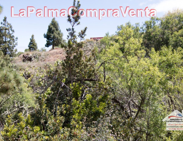 Suelo rústico en Venta en Puntagorda Santa Cruz de Tenerife thumbnail 2