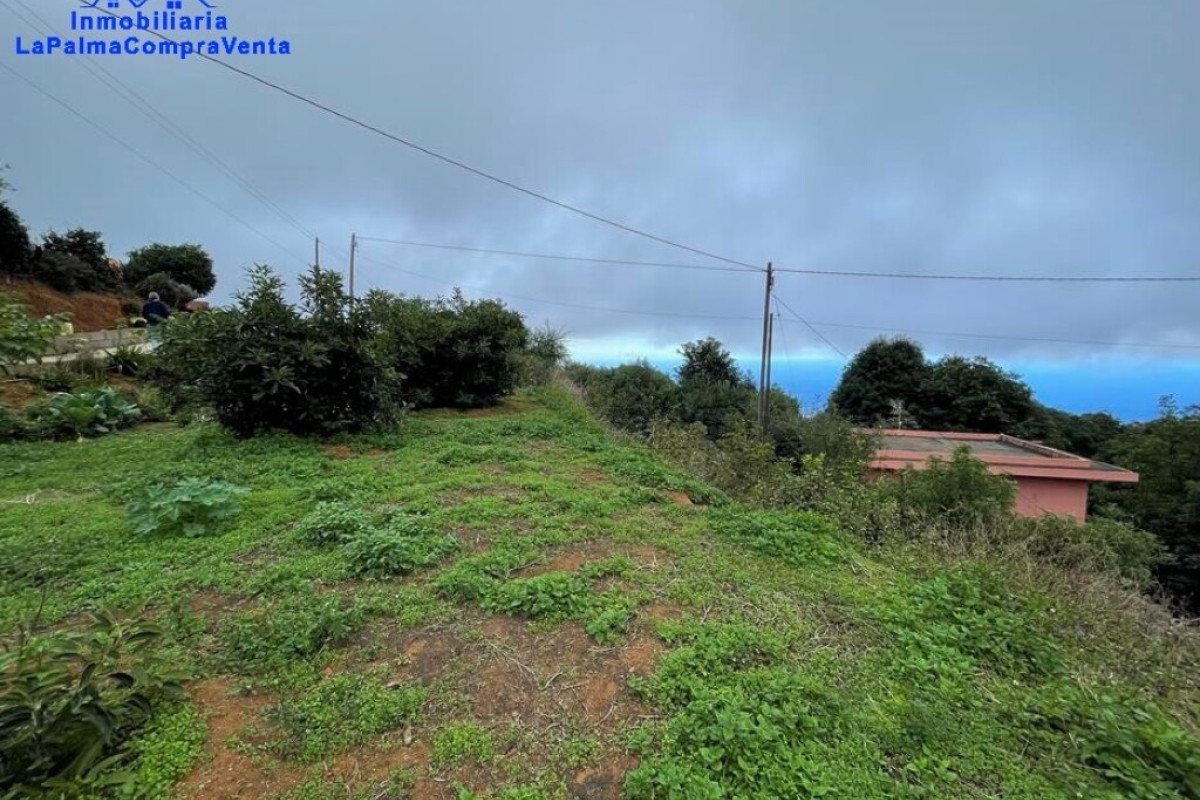 Casa-Chalet en Venta en Breña Alta Santa Cruz de Tenerife , Breña Alta
 photo 2