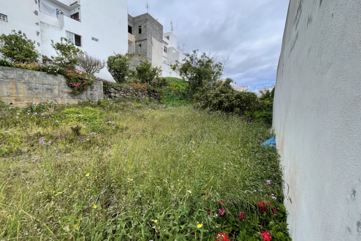 Land for sale in San Andrés and Sauces, Santa Cruz de Tenerife photo 5