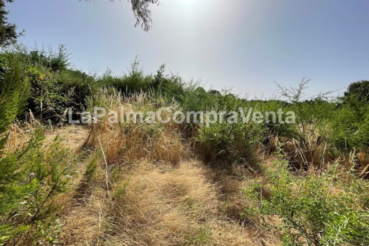 Land for sale in Roque Faro, Santa Cruz de Tenerife photo 2