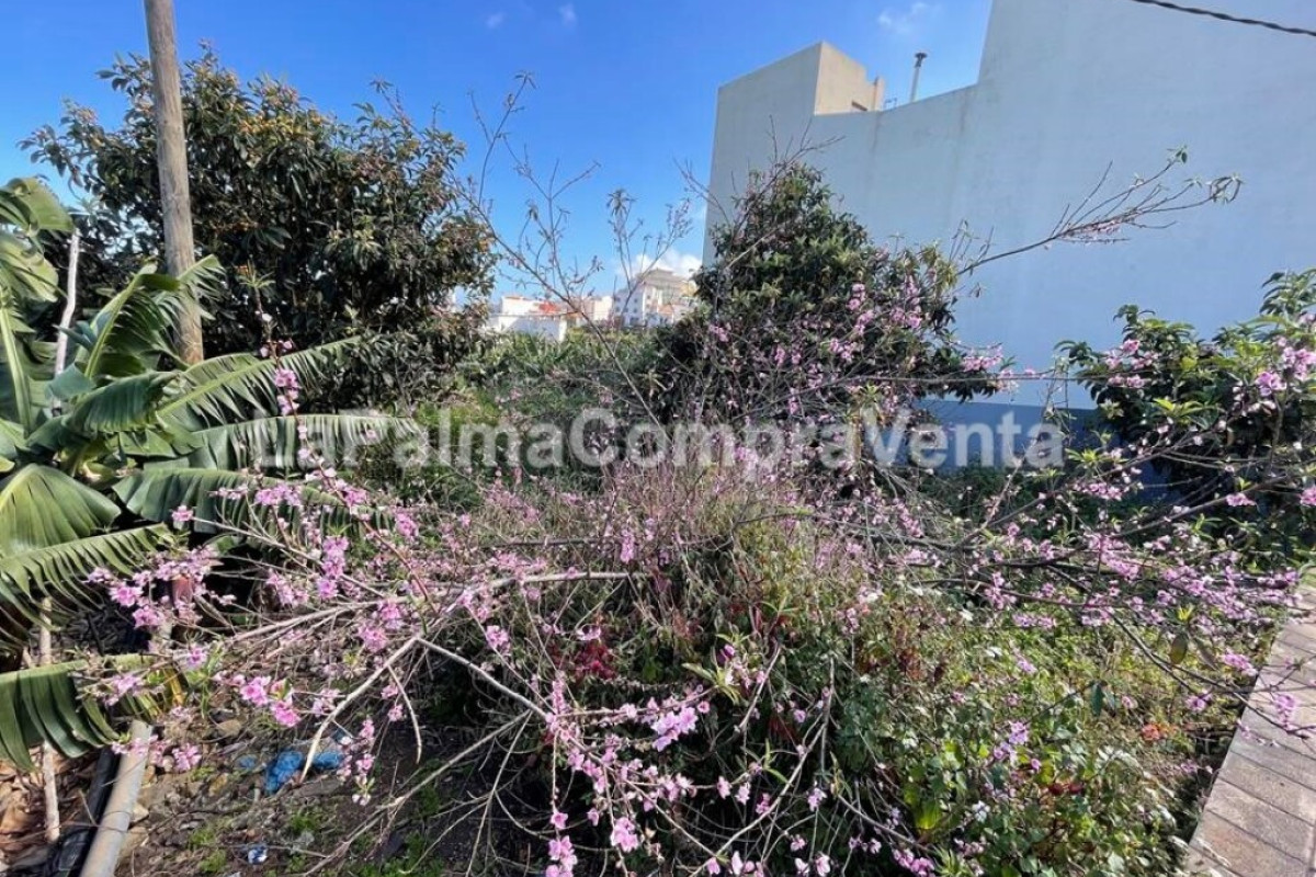 Land for sale in San Andrés and Sauces, Santa Cruz de Tenerife photo 3