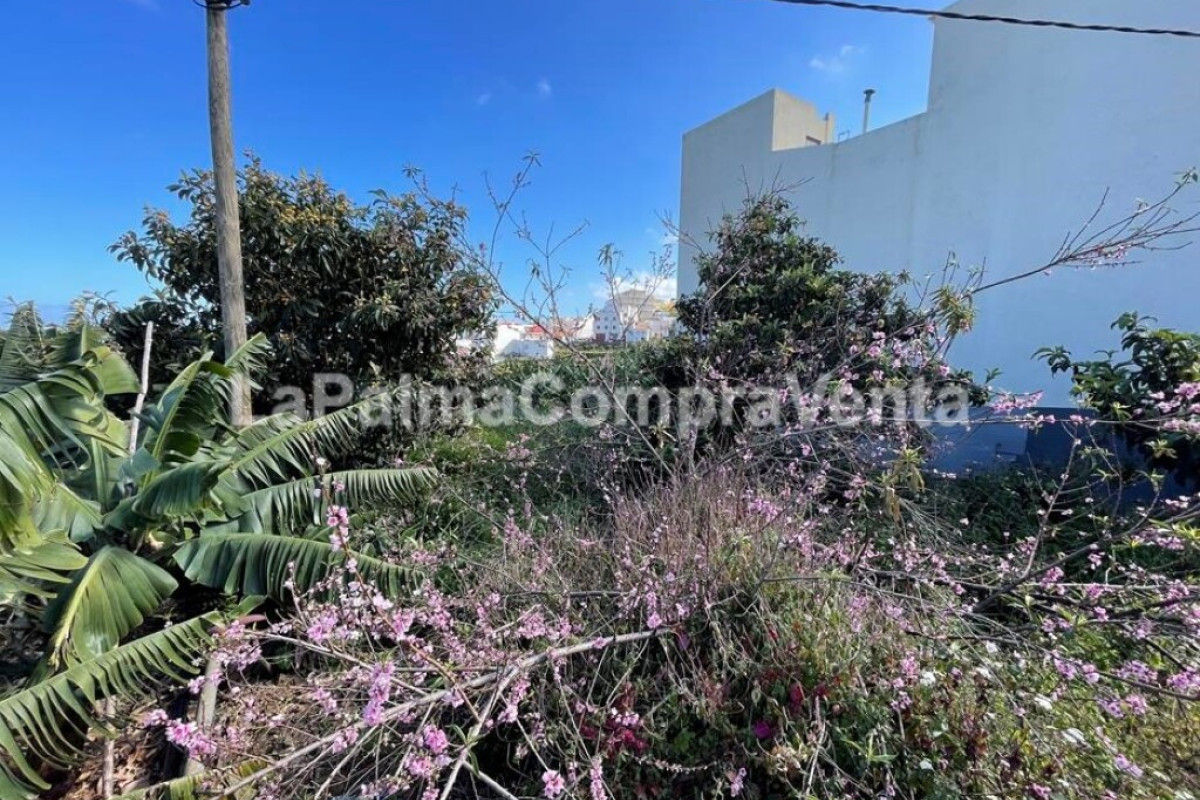 Land for sale in San Andrés and Sauces, Santa Cruz de Tenerife photo 4
