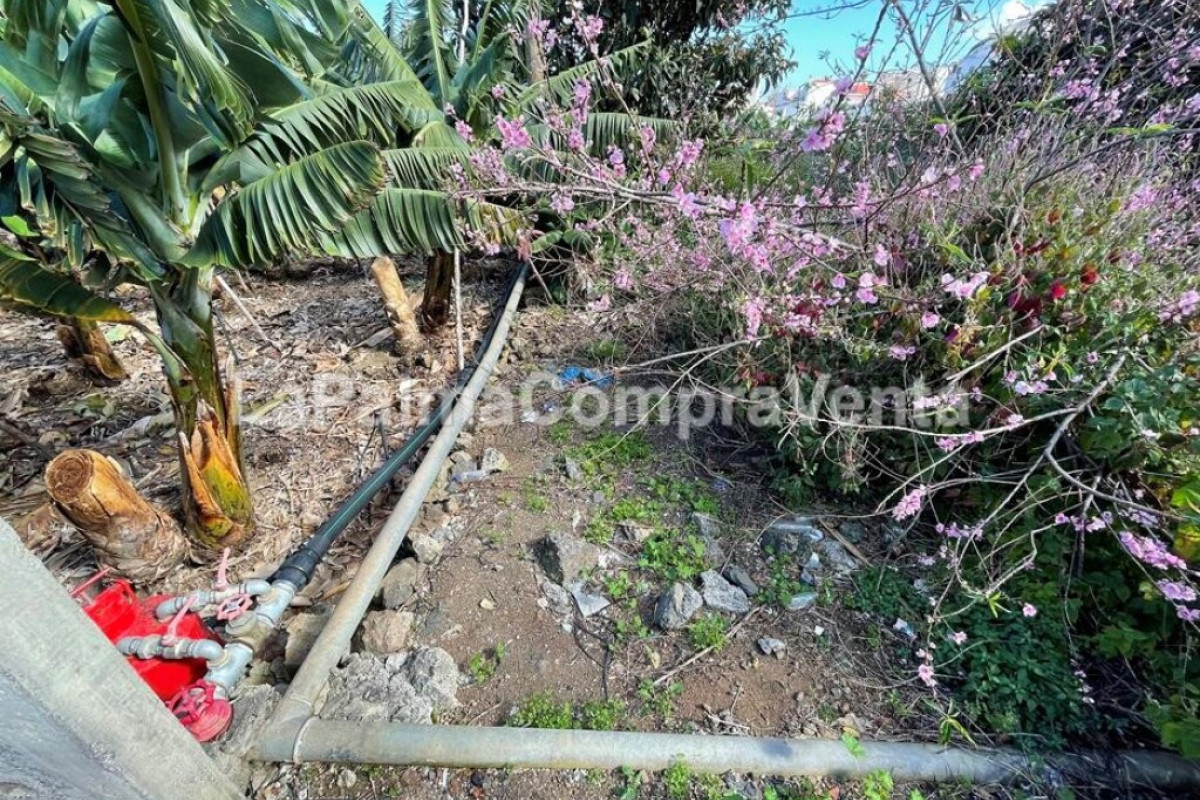 Land for sale in San Andrés and Sauces, Santa Cruz de Tenerife photo 5