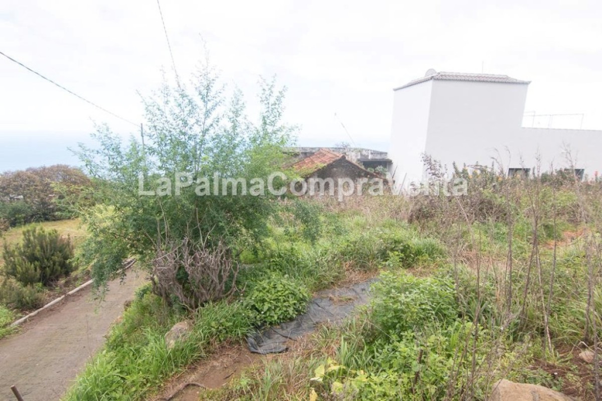 Casa-Chalet en Venta en San Andres Y Sauces Santa Cruz de Tenerife , San Andrés y Sauces
 photo 2