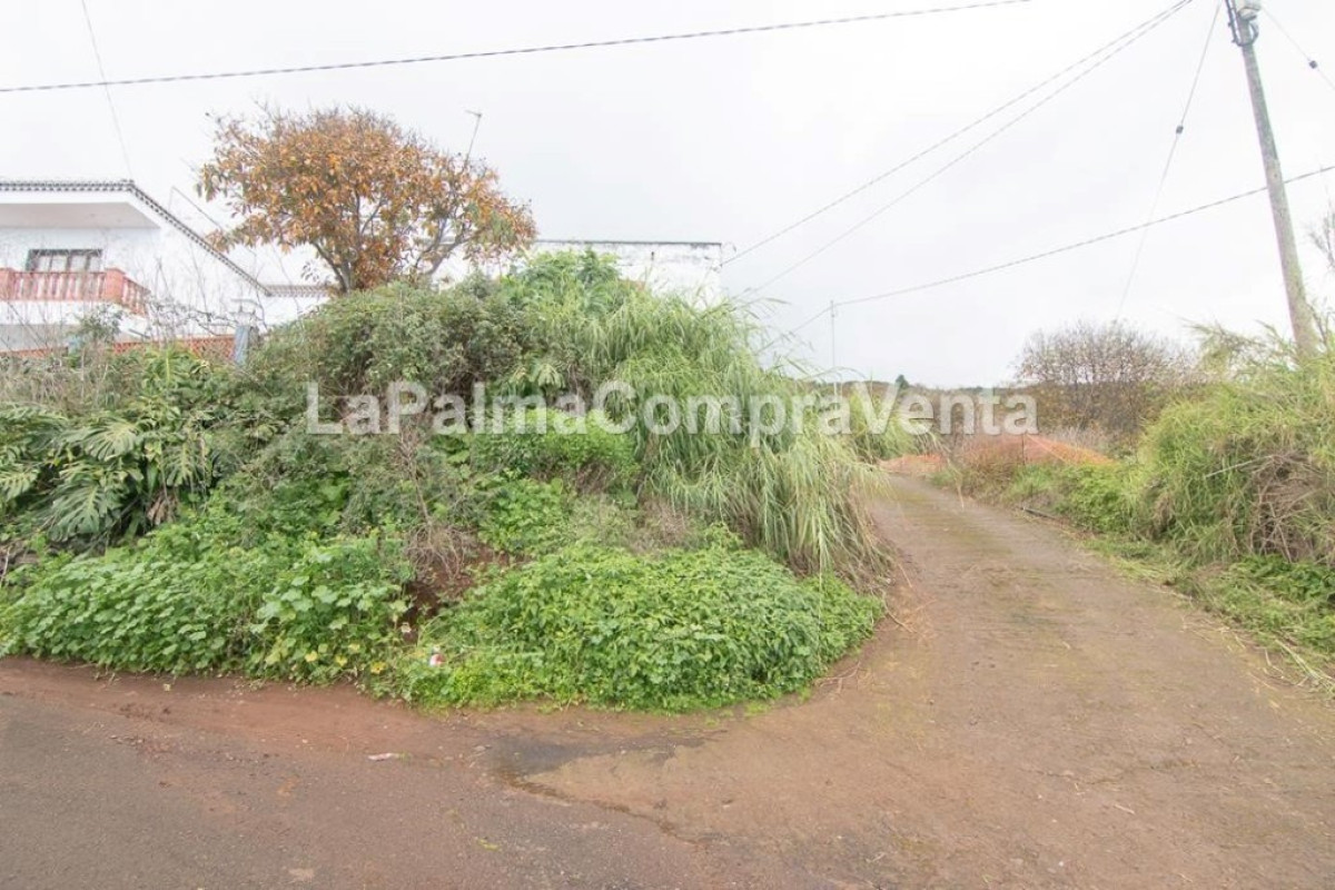 Casa-Chalet en Venta en San Andres Y Sauces Santa Cruz de Tenerife , San Andrés y Sauces
 photo 3
