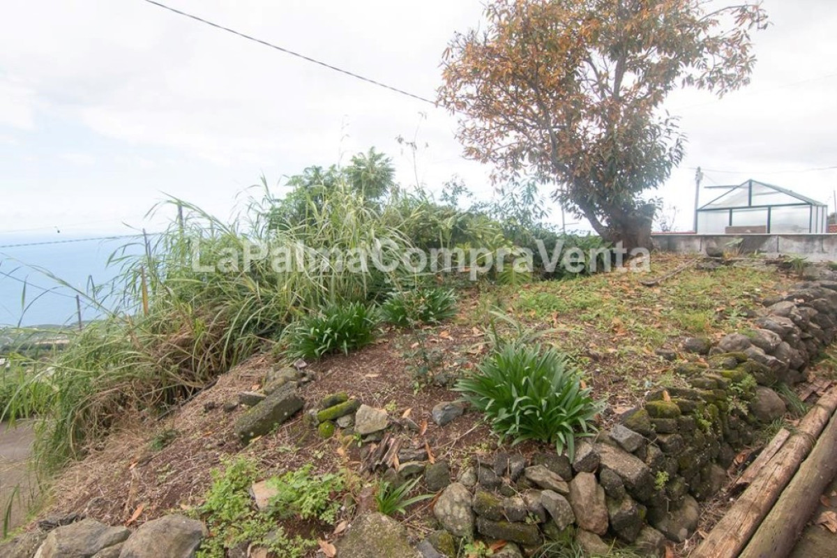 Casa-Chalet en Venta en San Andres Y Sauces Santa Cruz de Tenerife , San Andrés y Sauces
 photo 5