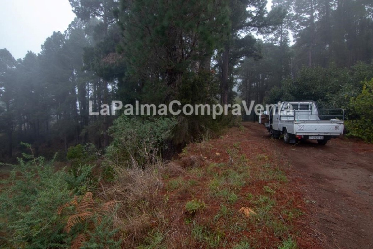 Land for sale in Roque Faro, Santa Cruz de Tenerife photo 2