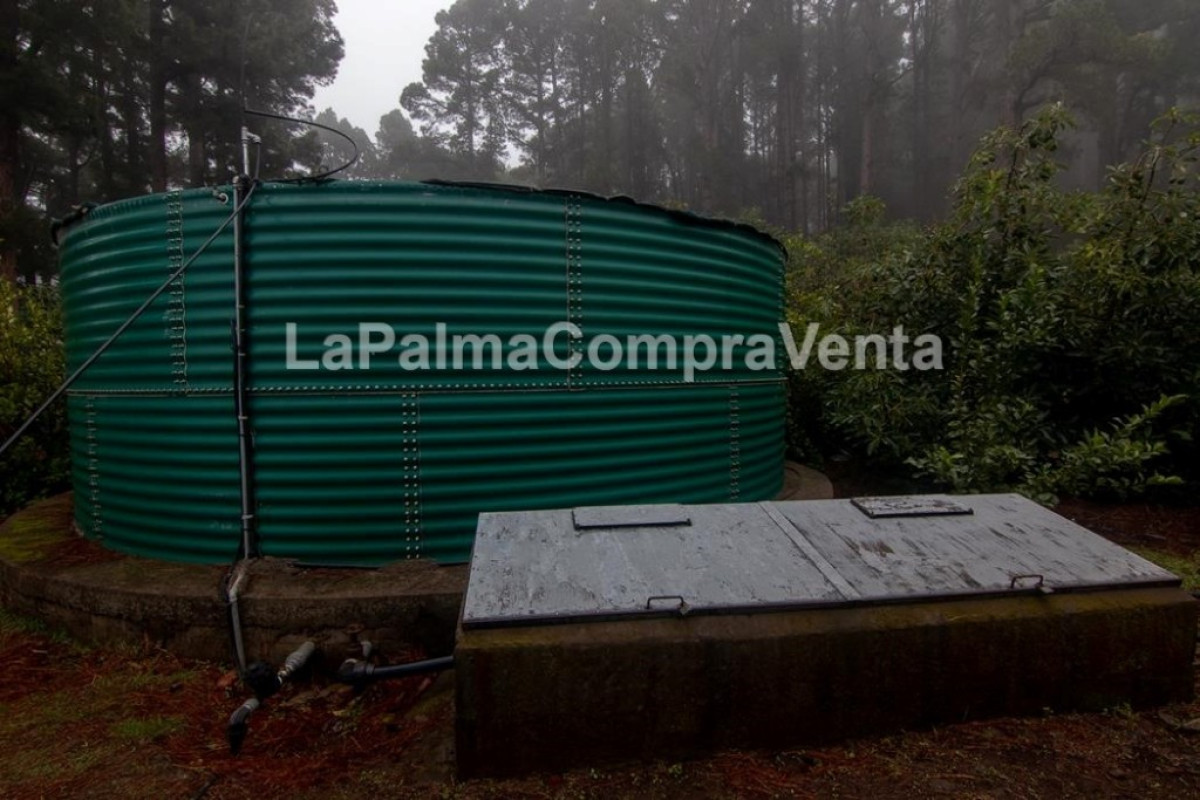 Land for sale in Roque Faro, Santa Cruz de Tenerife photo 3