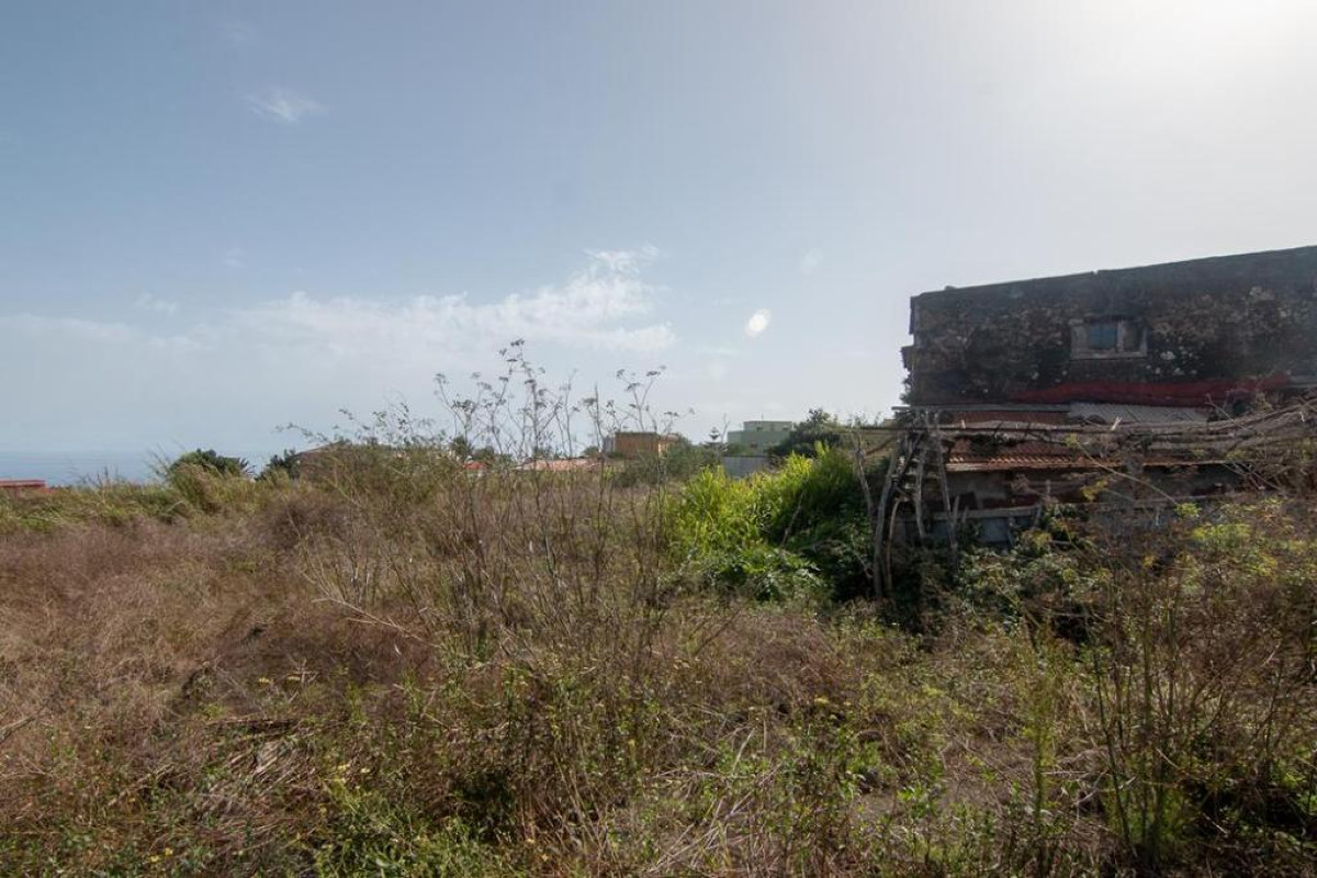 Terreno en venta en Barlovento, Santa Cruz de Tenerife photo 3