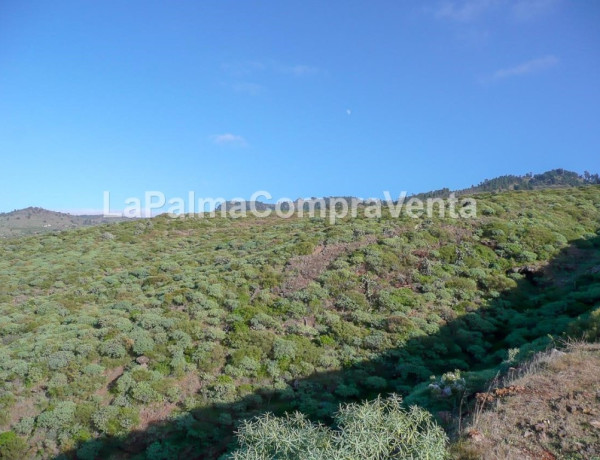Suelo urbanizable en Venta en Tricias, Las Santa Cruz de Tenerife thumbnail 2