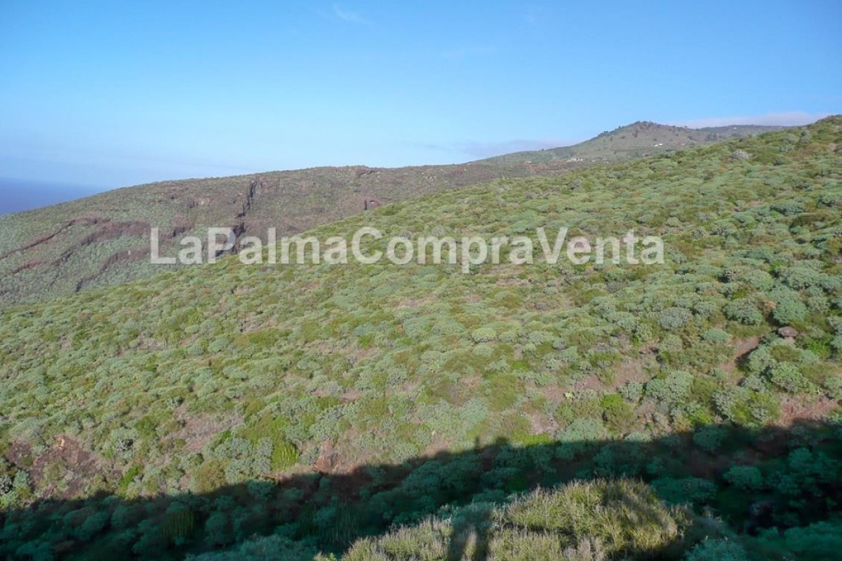 Land for sale in Tricias, The, Santa Cruz de Tenerife photo 4