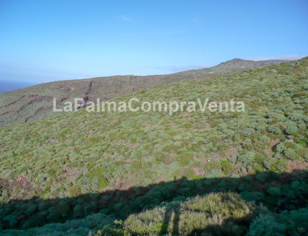 Suelo urbanizable en Venta en Tricias, Las Santa Cruz de Tenerife  photo 4