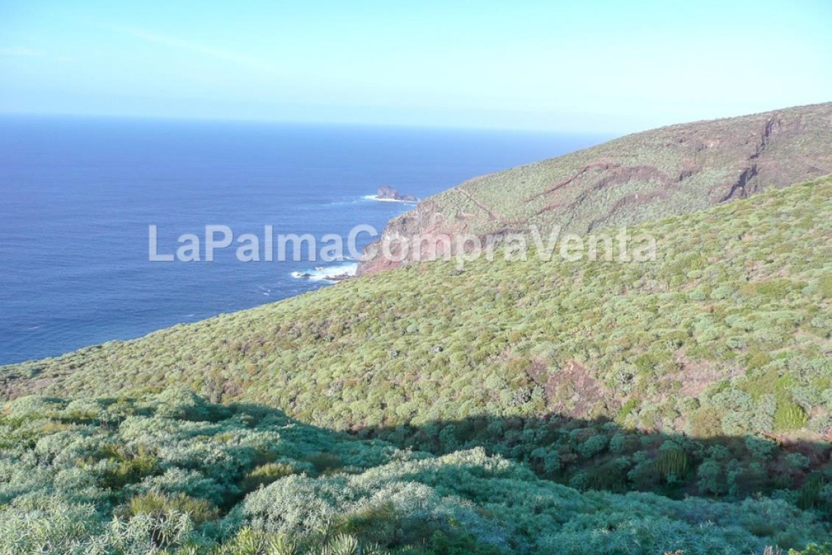 Land for sale in Tricias, The, Santa Cruz de Tenerife photo 5