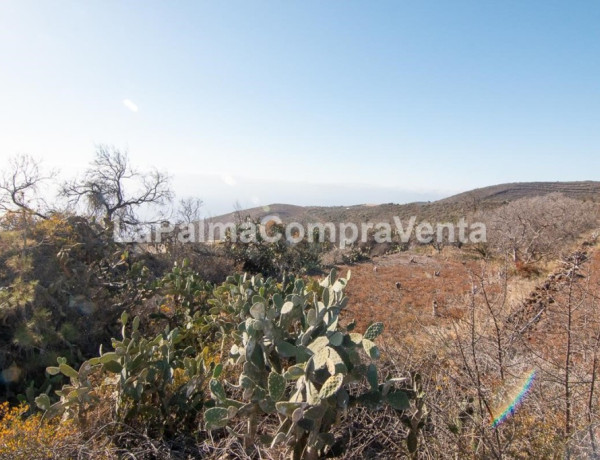 Suelo rústico en Venta en Puntagorda Santa Cruz de Tenerife thumbnail 1